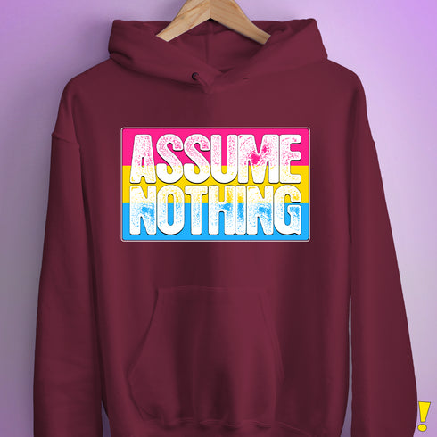 Assume Nothing Pansexual Pride Flag Hoodie - Maroon